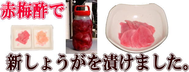 梅酢 赤梅酢 有限会社 長生き屋商店