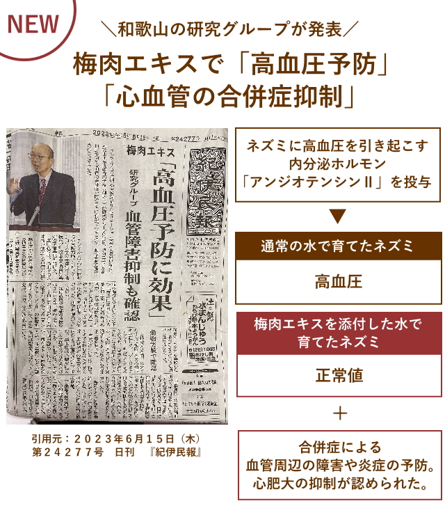 梅肉エキスで「高血圧予防」「心血管の合併症抑制」