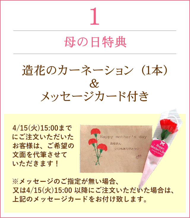 造花のカーネーション&メッセージカード付き