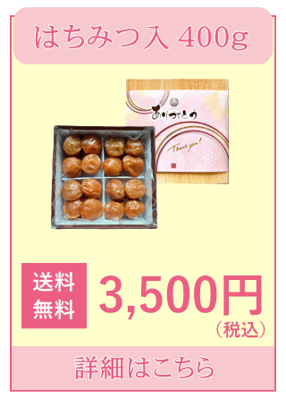 希心６粒入