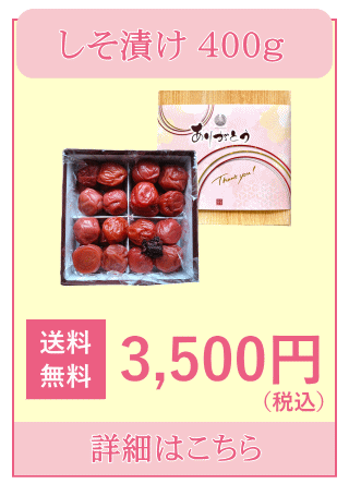 希心１２粒入