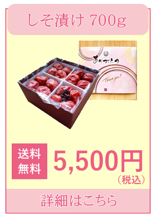 希心２０粒入