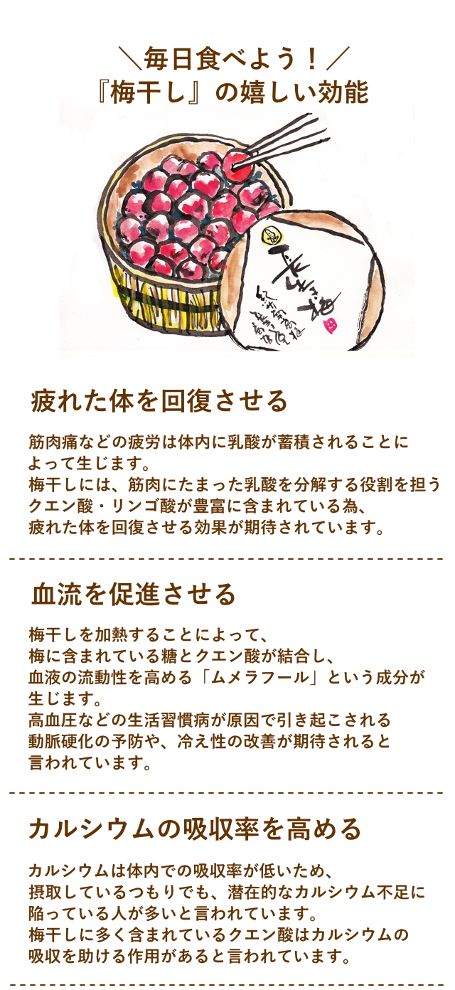 毎日食べよう！「梅干し」の嬉しい効能